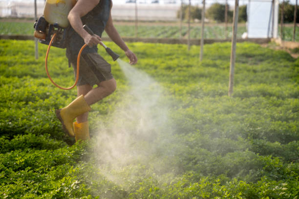 Best Pest Control Cost  in Morgan, UT